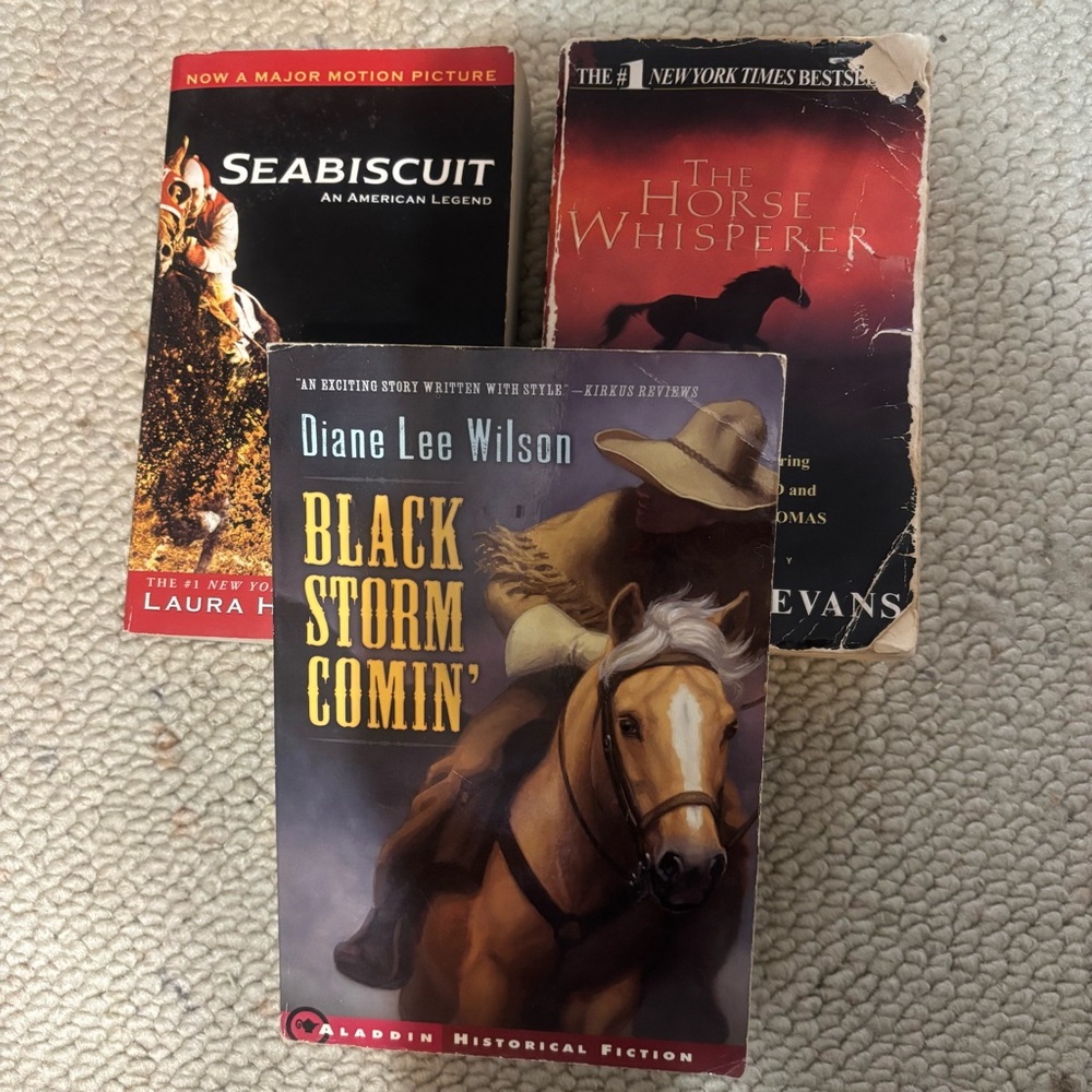 Bundle of Horse Books - Black Storm Comin, The Horse Whisperer, and Seabiscuit